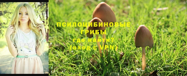 кокаин перу Алзамай