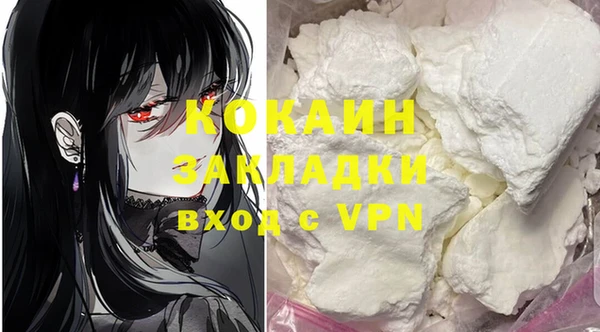 гидропоника Пересвет