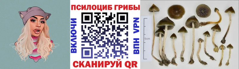 Галлюциногенные грибы MAGIC MUSHROOMS  Апшеронск 