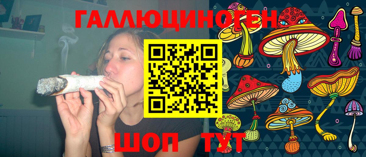Псилоцибиновые грибы Psilocybe  Вход с VPN  купить  цена  Апшеронск  Галлюциногенные грибы Psilocybe 