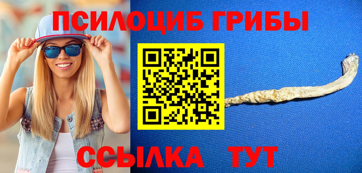 Псилоцибиновые грибы Psilocybine cubensis  Галлюциногенные грибы мицелий  Апшеронск 